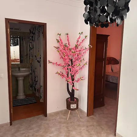 아파트 Dream House Near The 포르체스